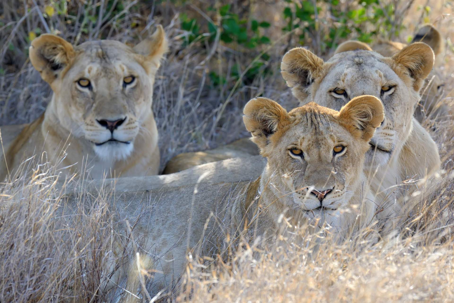​Akagera National Park