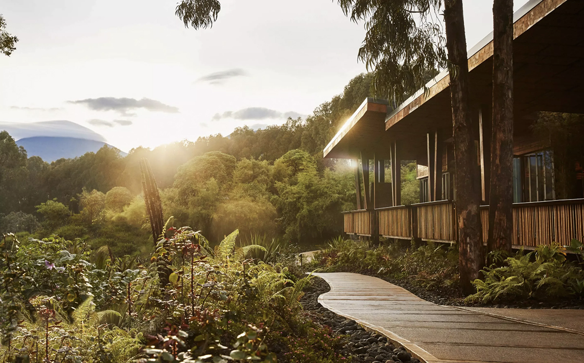 One&amp;Only Gorilla's Nest